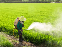 יינתן פיצוי לחקלאים / תמונה: Dreamstime