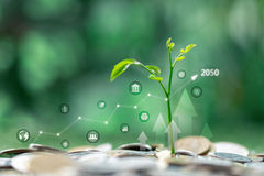 הבעת אמון בחברת לוינסקי עופר / תמונה: Dreamstime