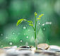 הבעת אמון בחברת לוינסקי עופר / תמונה: Dreamstime