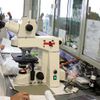 פלוריסטם מדווחת על תוצאות חיוביות מניסוי קליני PLX-R18 - המניה ממריאה מעל 6%