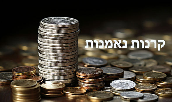 איור: פאנדר